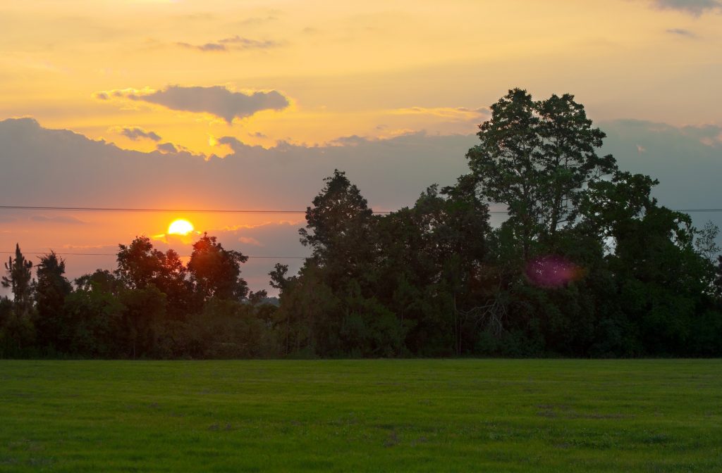 Sunset