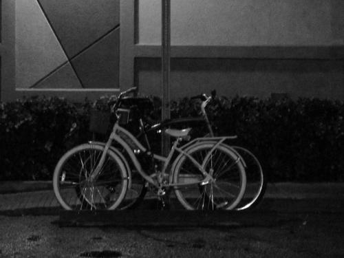 Bicycle Built for Two